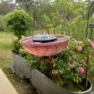 iap 600x600.6799890856 66q6kih0