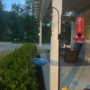 iap 600x600.6805864696 h3a2aqzt