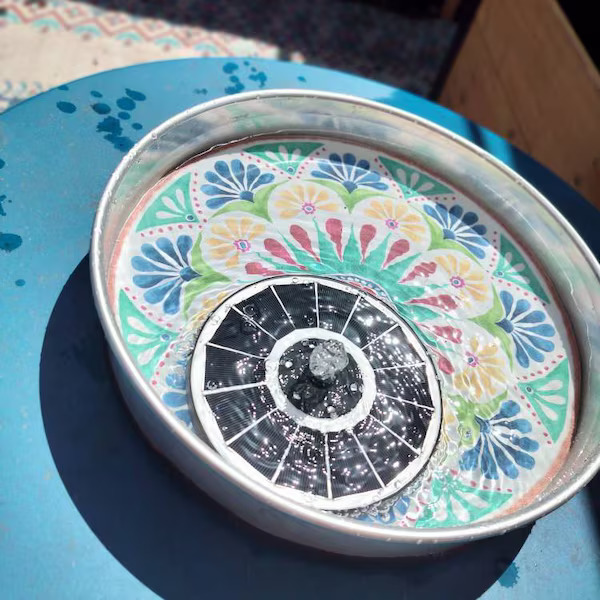 iap 600x600.6814018909 hx5vj2mc