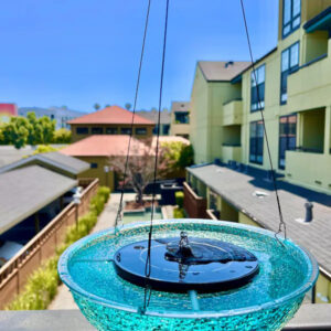 iap 600x600.6945817560 tnv36hiy