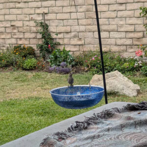 iap 600x600.7159738913 ob62rjwf