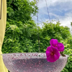 lavender sparkle solar water fountain: led bird bath, garden decor