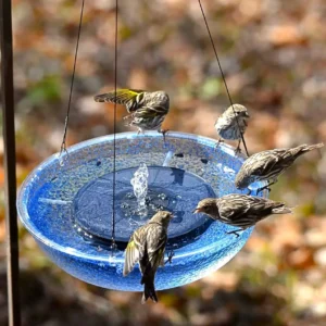 royal blue sparkle solar bird bath fountain: hanging garden art