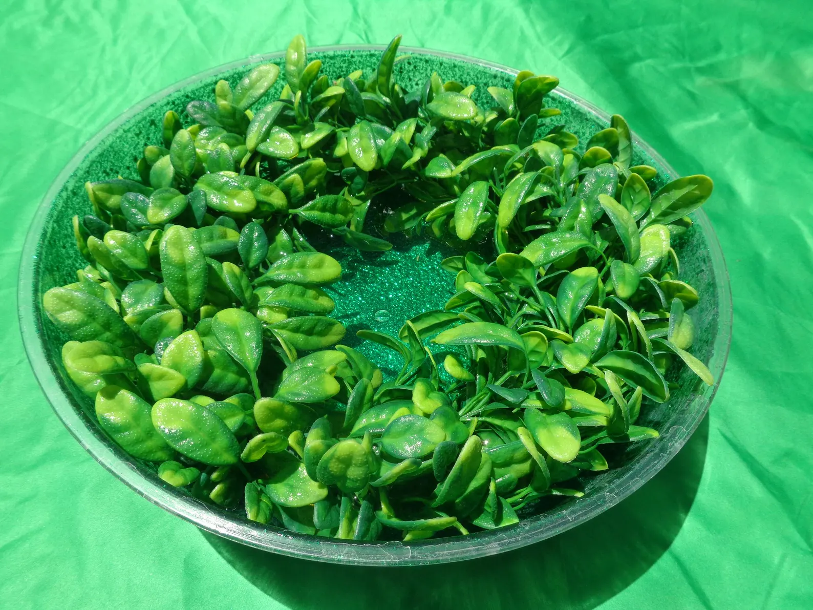 lighted water fountain: large fifteen inch virtually unbreakable bowl lighted water fountain: large fifteen inch virtually unbreakable bowl